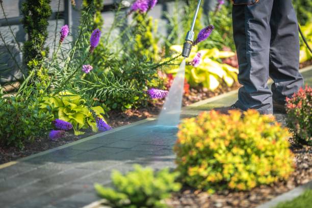 Best Concrete Surface Cleaning in Frankston, TX